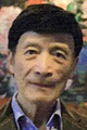Wang Zheng-Yu