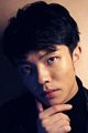 Wang Han