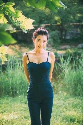 Lisa Liu Jie-Han