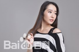 Лю Шань (1)