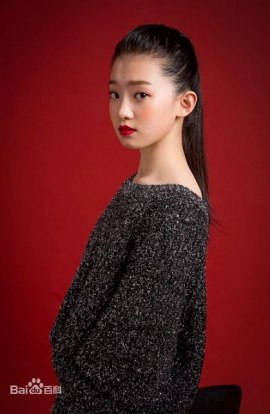 Jia Xiao-Han