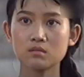 Gao Yan-Hong