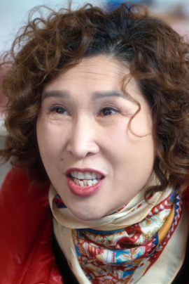Zhang Xiao-Ying