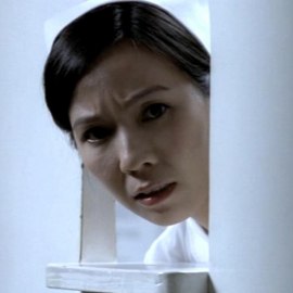 Ivy Lau Ngaai-Mei