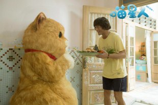 Луис Ку Луис Ку